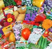 Семена